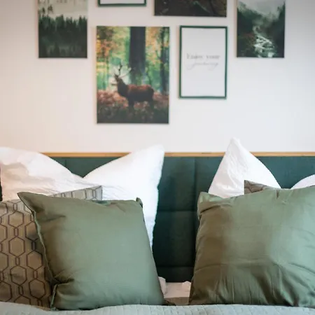 Easyforest 10p Switch Tv 2xapartments Bad Driburg