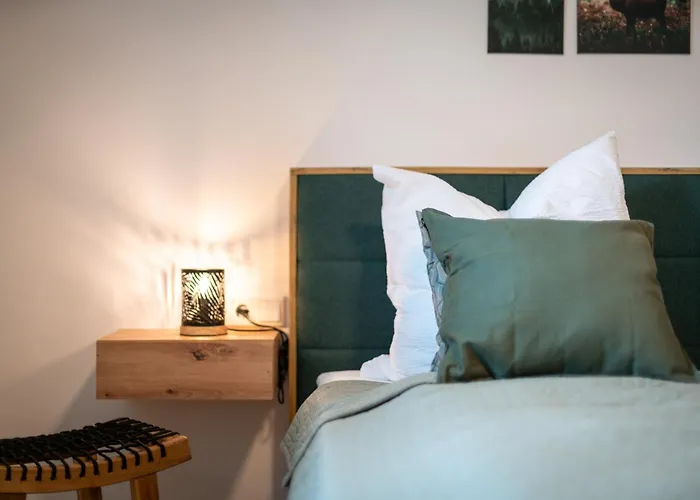 Easyforest 10p Switch Tv 2xapartments Appartement Bad Driburg